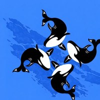 IPW 2026 logo by Charlene Johnny: four orcas in a pod