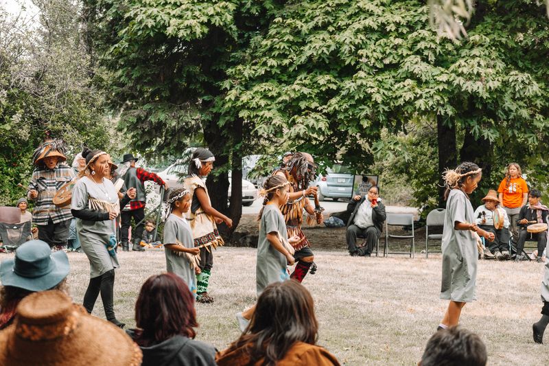 Performers in regalia dance with willow trees overhead at the meadow