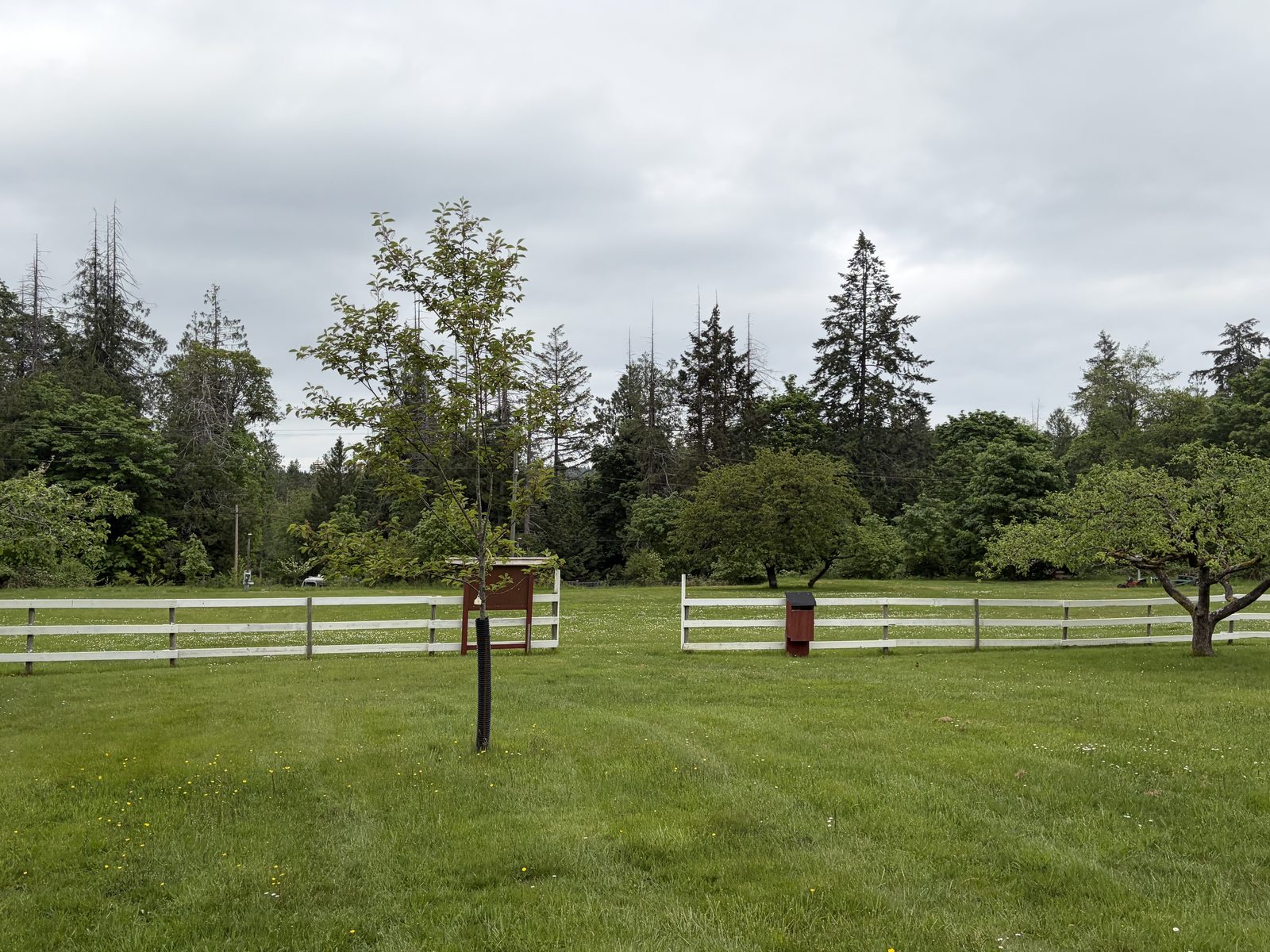 The back fence of the Farmers Institute field, where additional vendors may set up tables